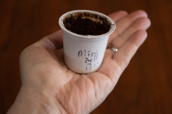 Image for event: Craft Along: K-Cup Seed Starters for Earth Day