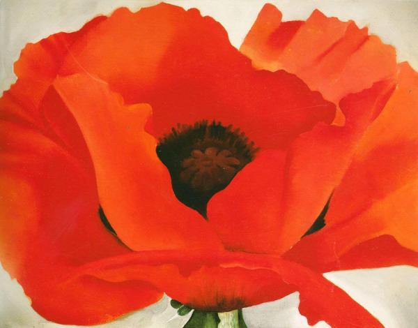 Image for event: Painting Poppies